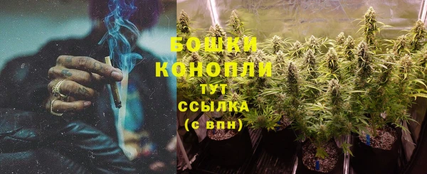 гашик Новокубанск