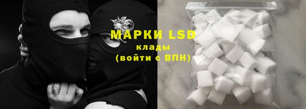 гашик Новокубанск