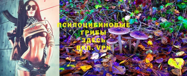 сатива Нея
