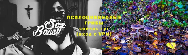 сатива Нея
