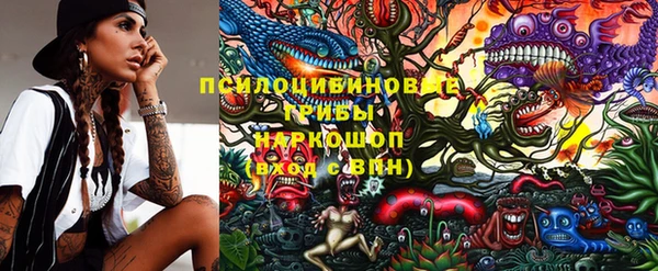 гашик Новокубанск