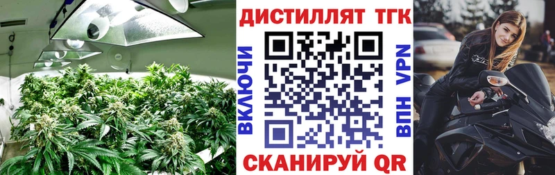 hydra вход  Серафимович  Дистиллят ТГК Wax 